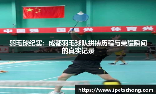 羽毛球纪实：成都羽毛球队拼搏历程与荣耀瞬间的真实记录