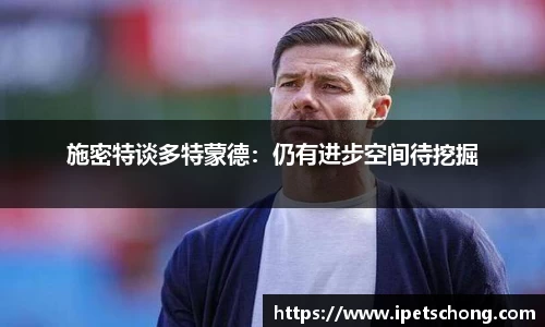 施密特谈多特蒙德：仍有进步空间待挖掘