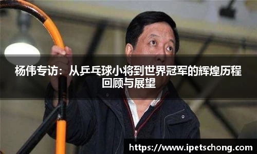 杨伟专访：从乒乓球小将到世界冠军的辉煌历程回顾与展望