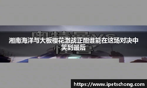 太阳成tyc7111cc